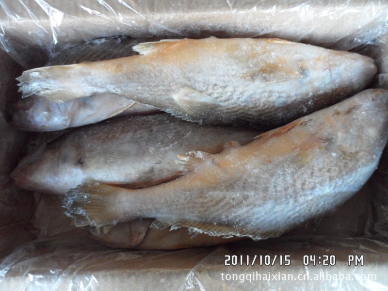 海产品代加工