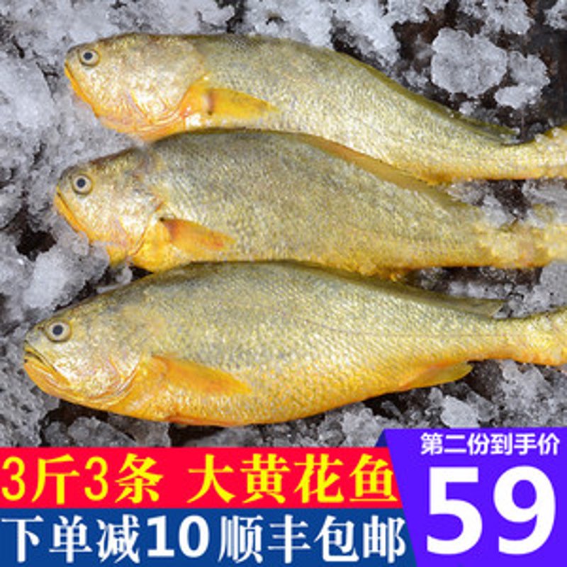 冷冻黄花鱼